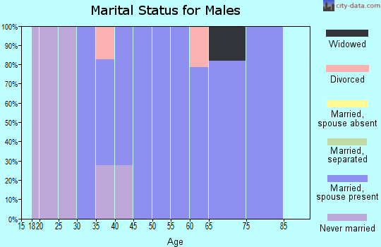Zip code 82932 marital status for males