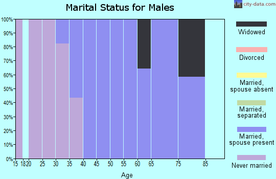 Zip code 82933 marital status for males