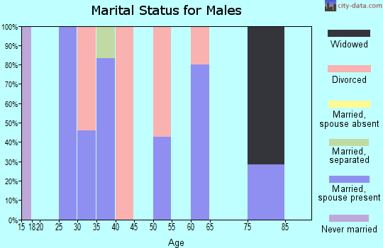 Zip code 82934 marital status for males