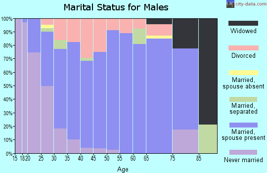 Zip code 82935 marital status for males