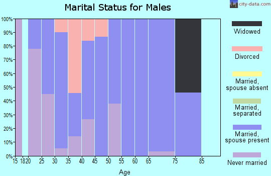Zip code 82939 marital status for males