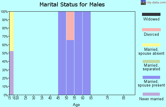 Zip code 82944 marital status for males