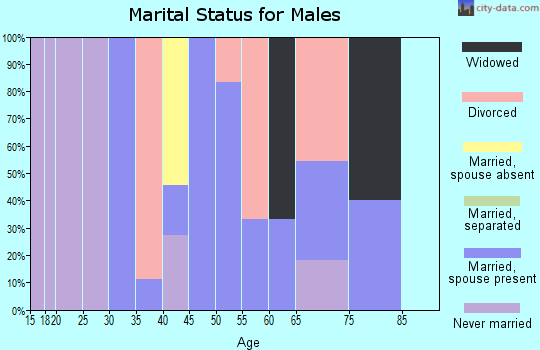 Zip code 82945 marital status for males