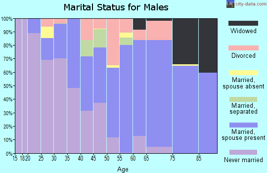 Zip code 83001 marital status for males