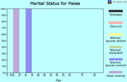 Zip code 83011 marital status for males