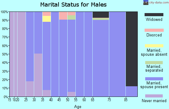 Zip code 83110 marital status for males