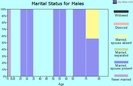 Zip code 83111 marital status for males