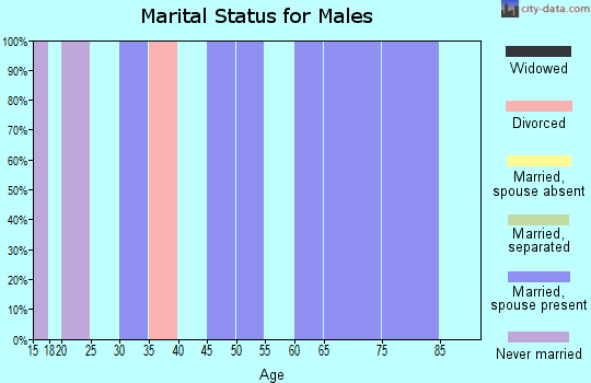 Zip code 83112 marital status for males