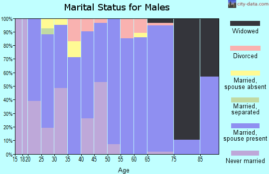 Zip code 83113 marital status for males