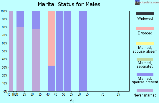 Zip code 83120 marital status for males