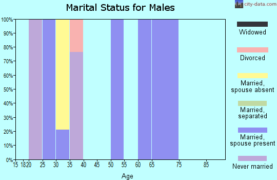 Zip code 83122 marital status for males