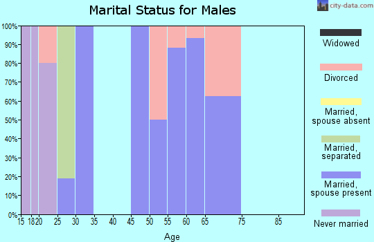 Zip code 83123 marital status for males