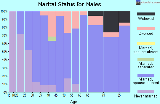 Zip code 83127 marital status for males