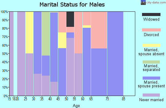 Zip code 83128 marital status for males