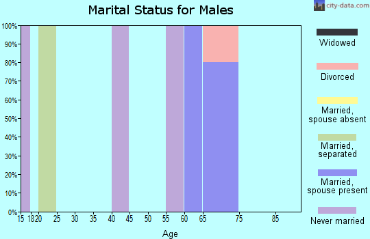Zip code 83203 marital status for males