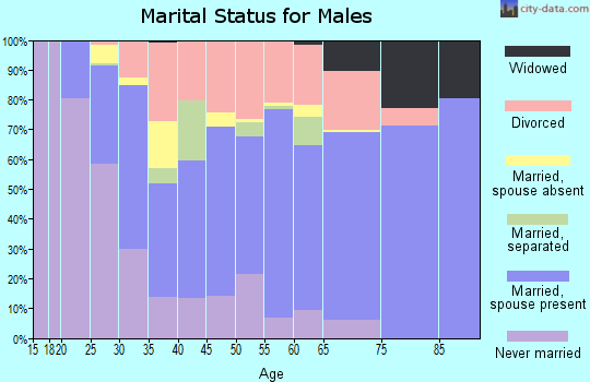 Zip code 83204 marital status for males