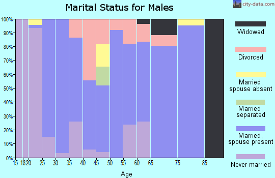 Zip code 83210 marital status for males