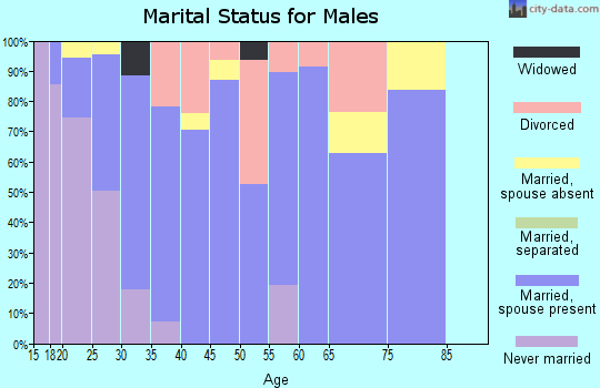 Zip code 83211 marital status for males