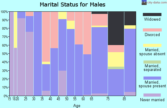 Zip code 83213 marital status for males