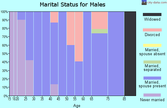 Zip code 83214 marital status for males