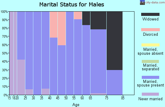 Zip code 83217 marital status for males