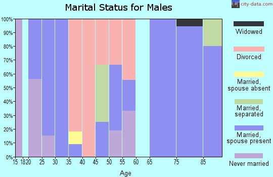 Zip code 83218 marital status for males