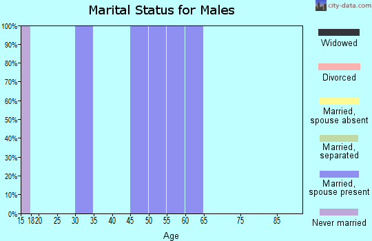 Zip code 83220 marital status for males