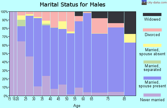 Zip code 83221 marital status for males