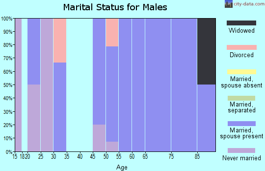 Zip code 83223 marital status for males