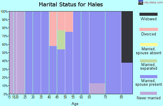 Zip code 83228 marital status for males