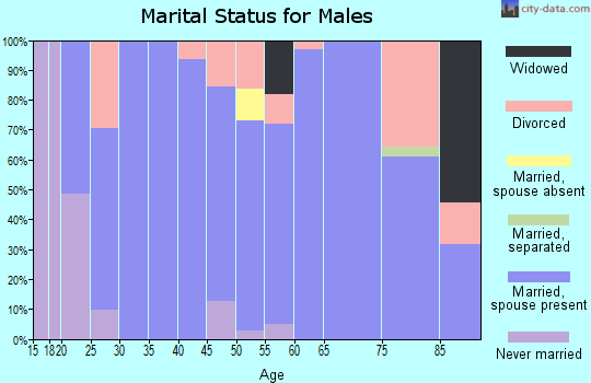 Zip code 83236 marital status for males