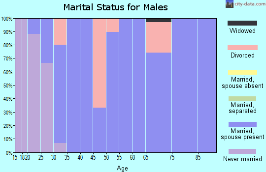 Zip code 83239 marital status for males
