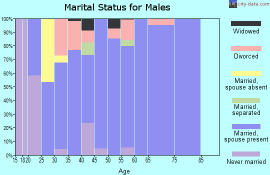 Zip code 83241 marital status for males