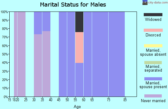 Zip code 83244 marital status for males