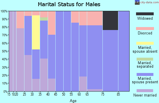 Zip code 83245 marital status for males