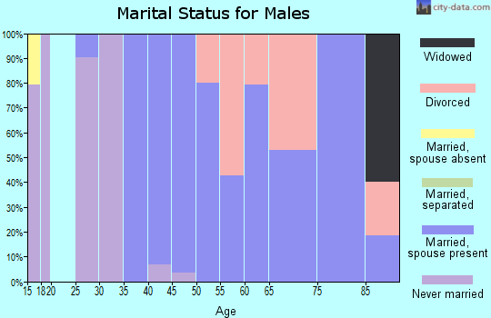 Zip code 83246 marital status for males