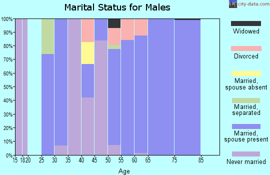 Zip code 83250 marital status for males