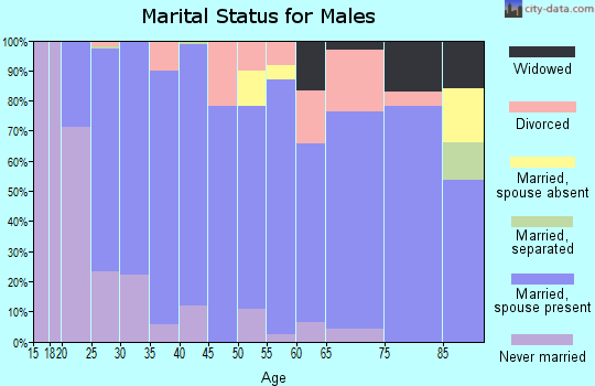 Zip code 83254 marital status for males
