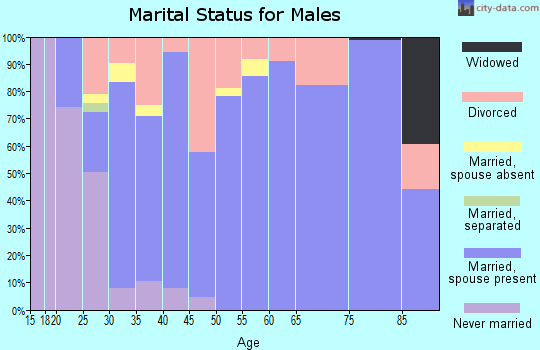 Zip code 83263 marital status for males