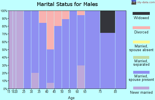 Zip code 83271 marital status for males