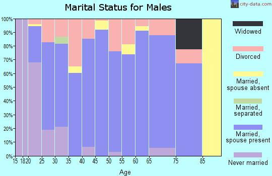 Zip code 83276 marital status for males