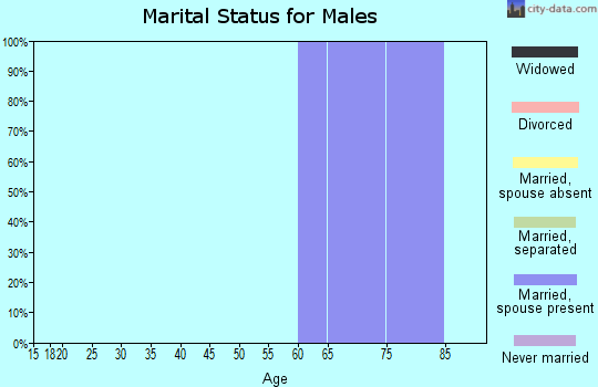Zip code 83281 marital status for males