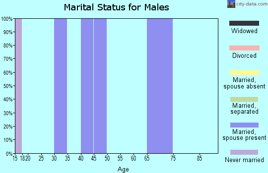 Zip code 83283 marital status for males