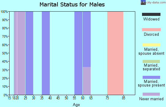 Zip code 83285 marital status for males