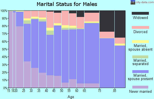 Zip code 83301 marital status for males