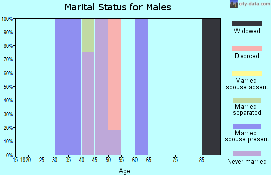 Zip code 83302 marital status for males