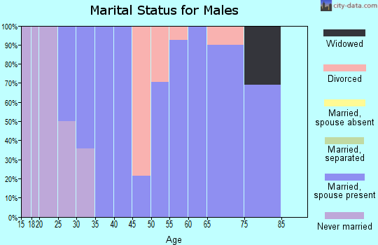 Zip code 83311 marital status for males