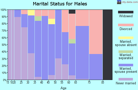 Zip code 83313 marital status for males