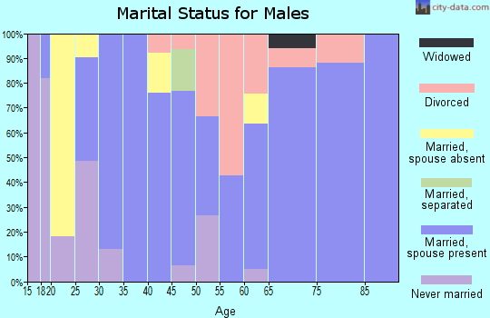 Zip code 83314 marital status for males