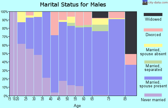 Zip code 83316 marital status for males